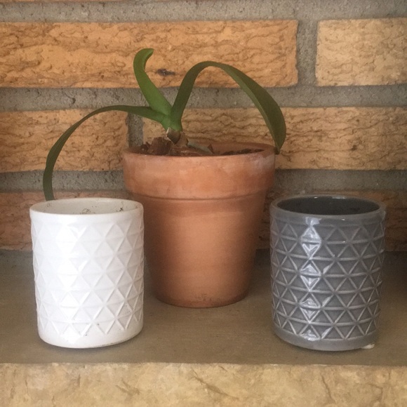 Other - Pair of Mini Succulent Pots